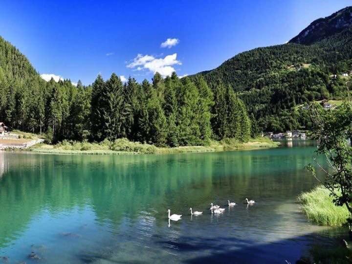 Appartamento Italia Аллеге Экстерьер фото